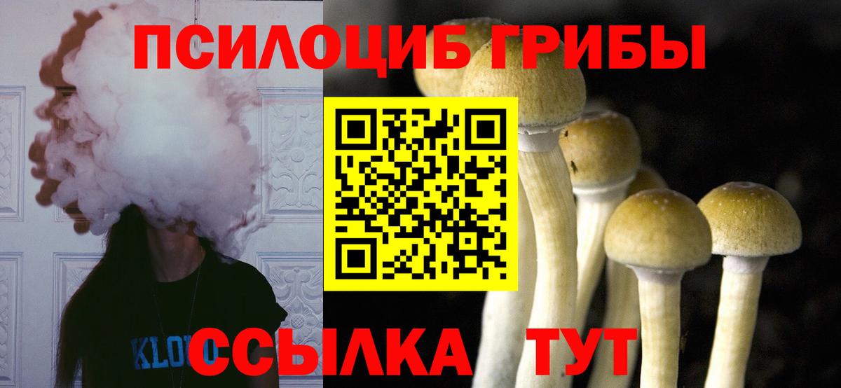 Галлюциногенные грибы Cubensis  Вход с VPN  Шелехов 